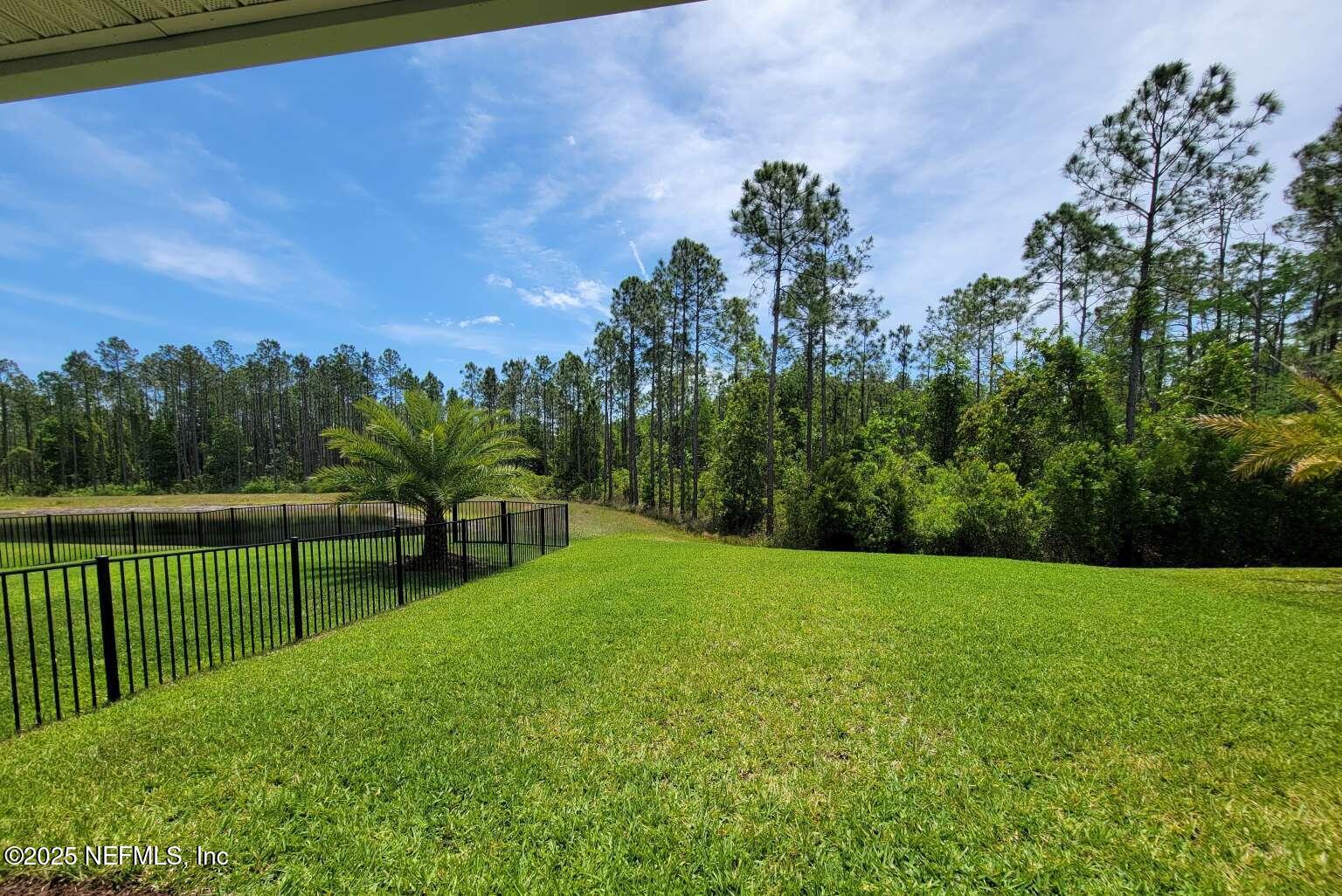 41 RAINBOW TROUT Lane