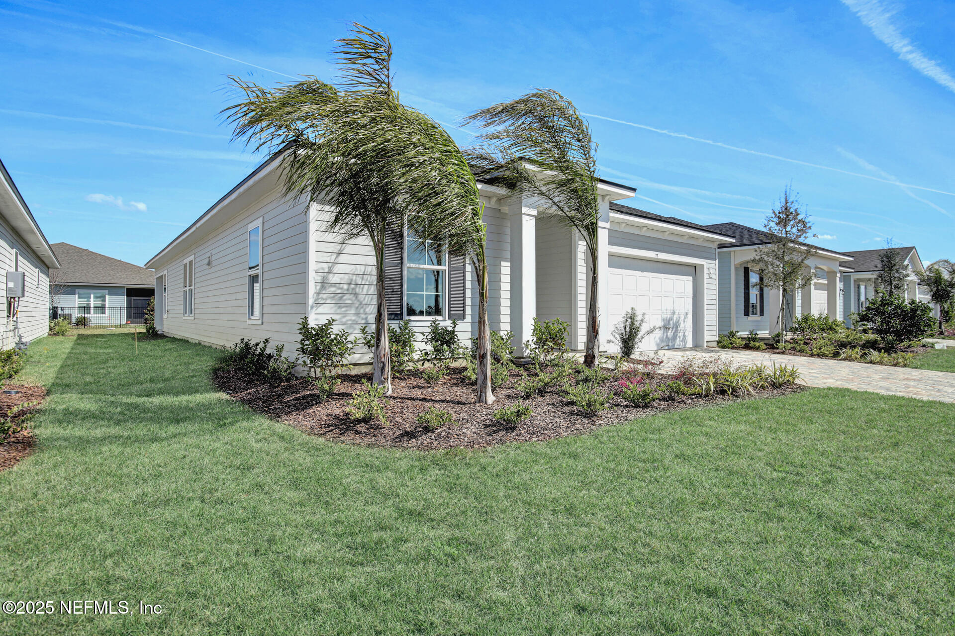 77 SWAYING TREE Avenue