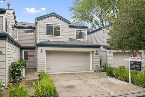 MLS: 41091894