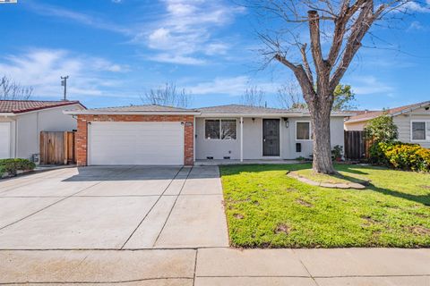 42857 Everglades Park Drive, Fremont, CA 94538 - #: 41089401