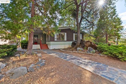 10956 Green St Unit 124, Columbia, CA 95310 - #: 41113103