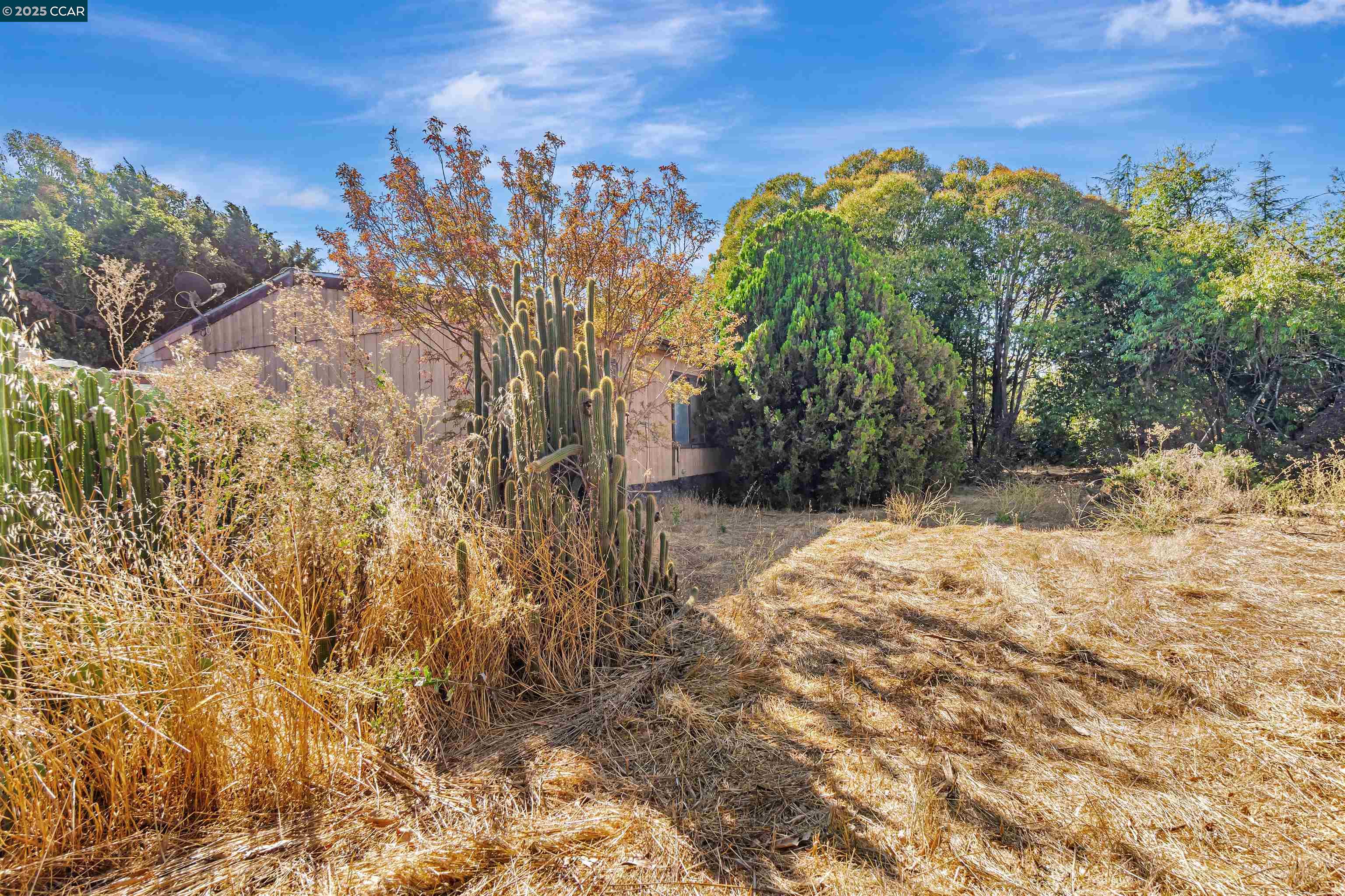 21200 Silva Road