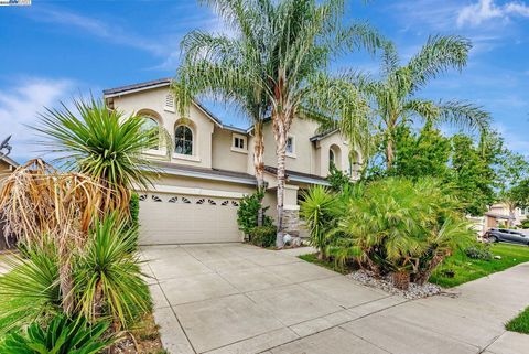 141 Pescara Blvd, Brentwood, CA 94513 - #: 41115885