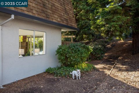 1769 Holland Cir, Walnut Creek, CA 94597 - MLS#: 41087866