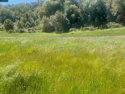 1180 BEAR CREEK RD, BRIONES, CA 94553 - Image 35da8948e074e4da268887fa807d9ad9/469793777