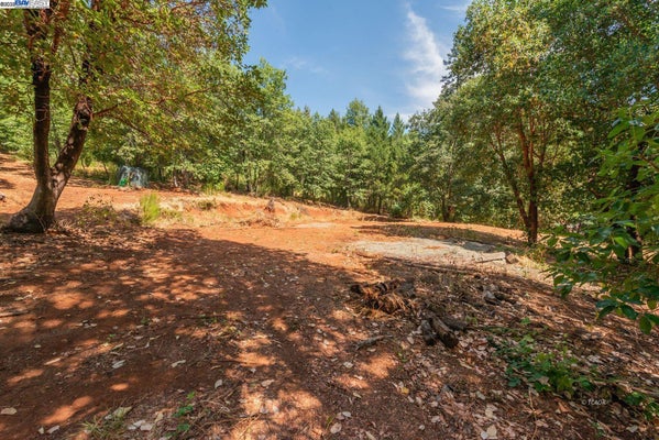 171 CONNER CREEK RD, JUNCTION CITY, CA 96048 - Image 3693893bb386fcd718363fa6a2937dbe/983131335