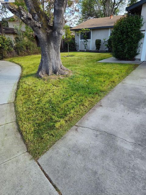 1462 Oak Ct, Tracy, CA 95376 - #: 41058768