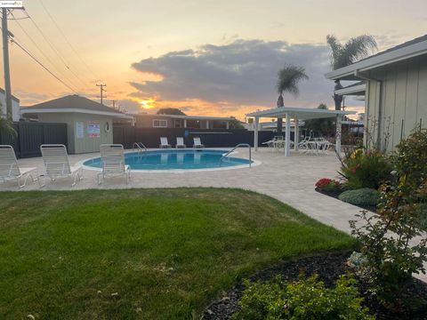 64 Oneida St, Oakley, CA 94581 - #: 41091333