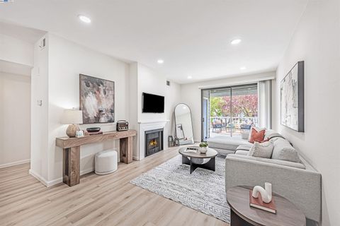 MLS: 41090237