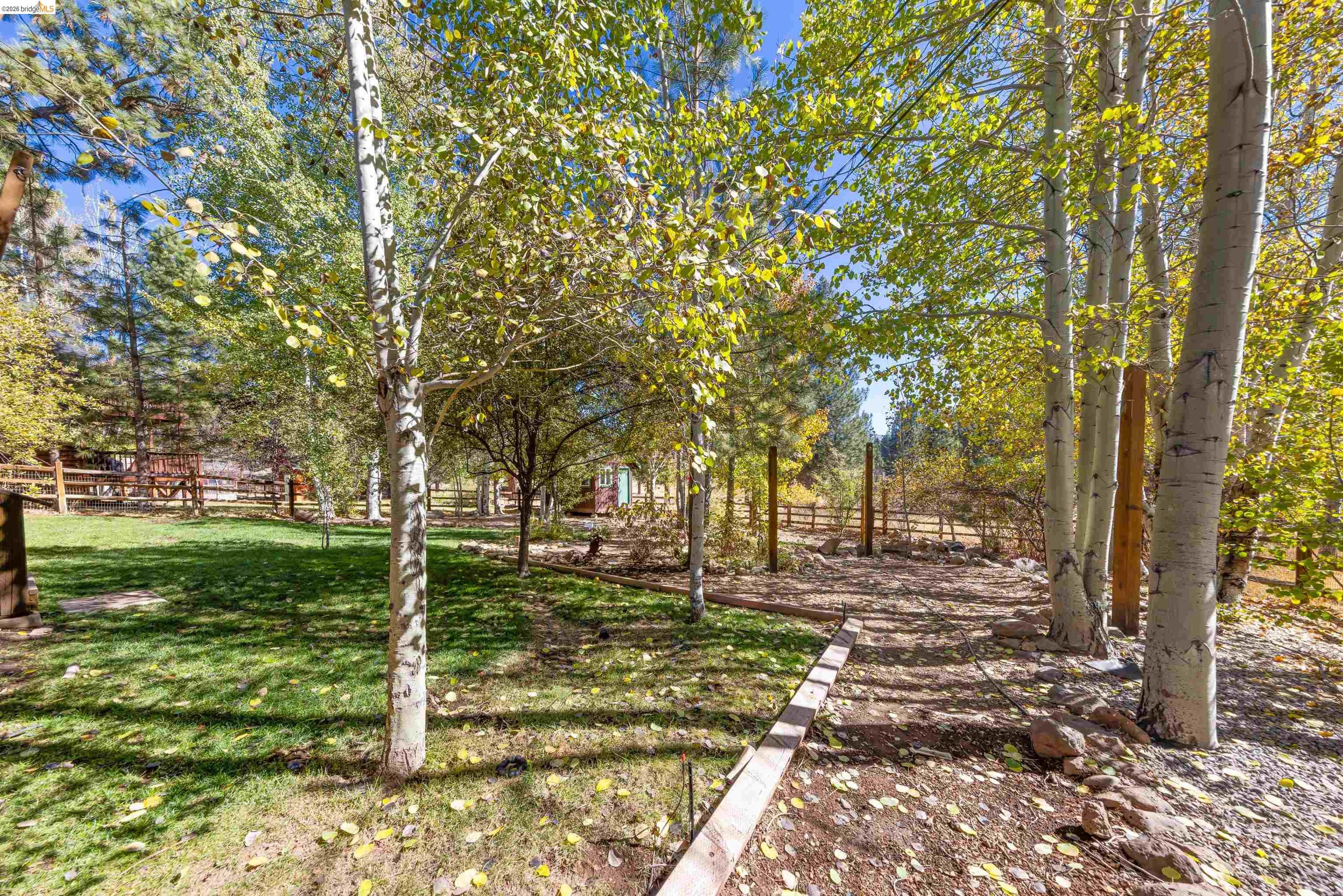 10883 Whitehorse Rd