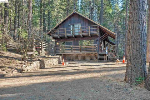 1273 Lilac Dr, Arnold, CA 95223 - #: 41113090