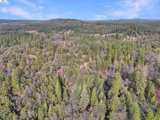 4700 KELLEY PL, GARDEN VALLEY, CA 95633 - Image 563c65ec47e5de2d5fbb1d1004d444c8/635099014