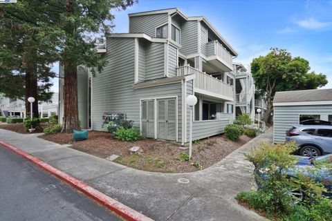 3402 Pinewood Ter Unit 211, Fremont, CA 94536 - #: 41097673