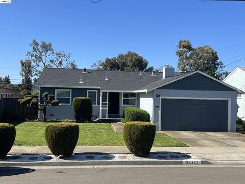 26447 Mocine Ave, Hayward, CA 94544 - #: 41130698