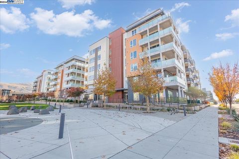 45128 Warm Springs Blvd Unit 251, Fremont, CA 94539 - #: 41080030