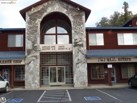 14570 Mono Way C&D, Sonora, CA 95370 - #: 41087980