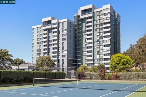 555 Pierce St Unit 209, Albany, CA 94706 - #: 41109811