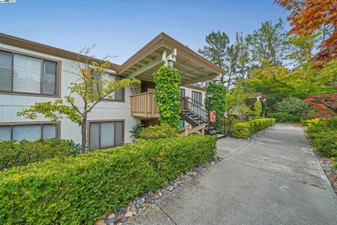 1317 Leisure Ln Unit 7, Walnut Creek, CA 94595 - #: 41053131