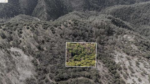 MLS: 41083876