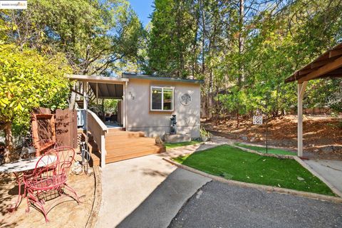 10956 Green Street Unit 212, Columbia, CA 95310 - #: 41113061