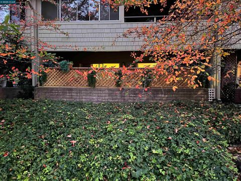  Walnut Creek CA 94595