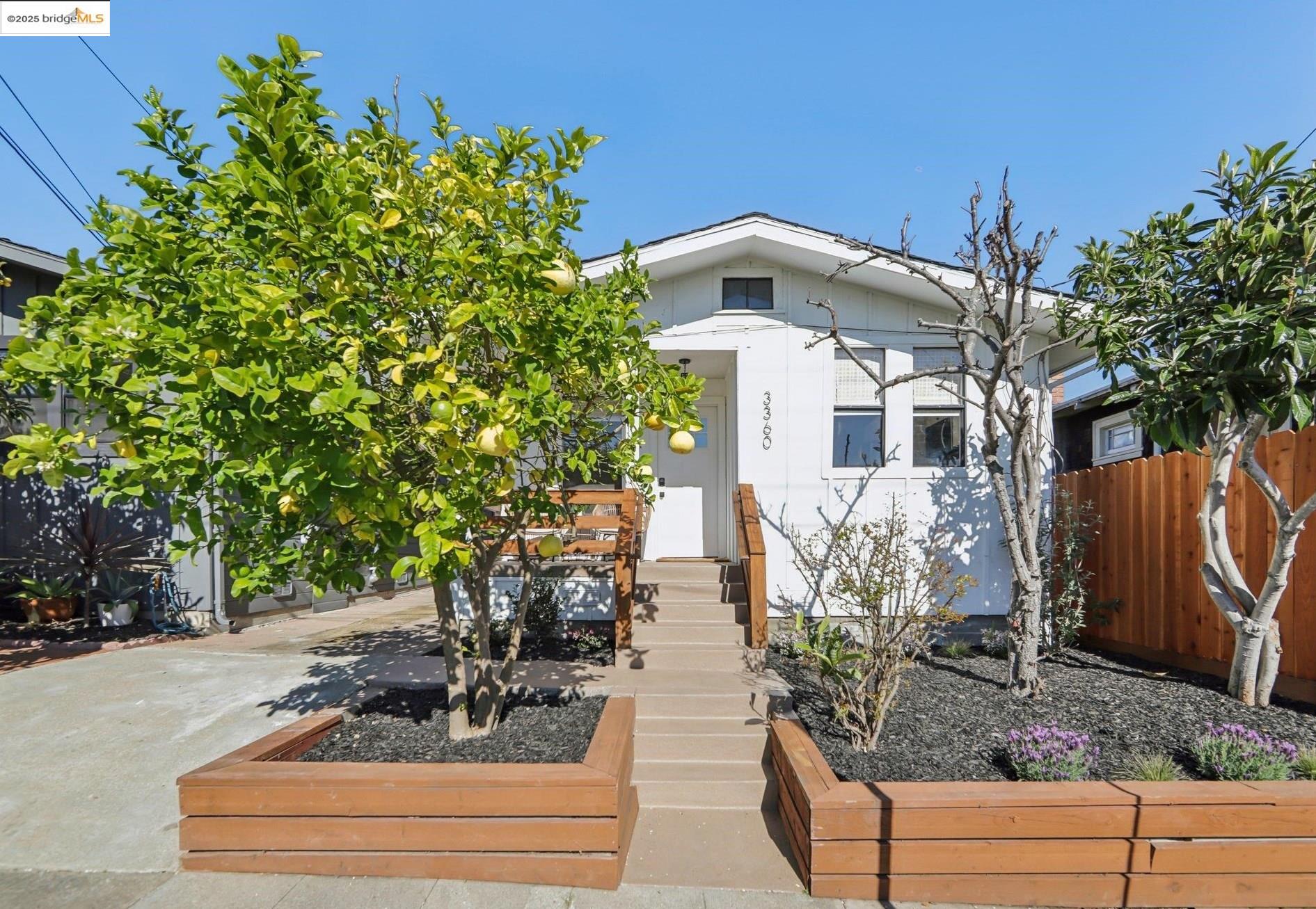 MLS: 41088435