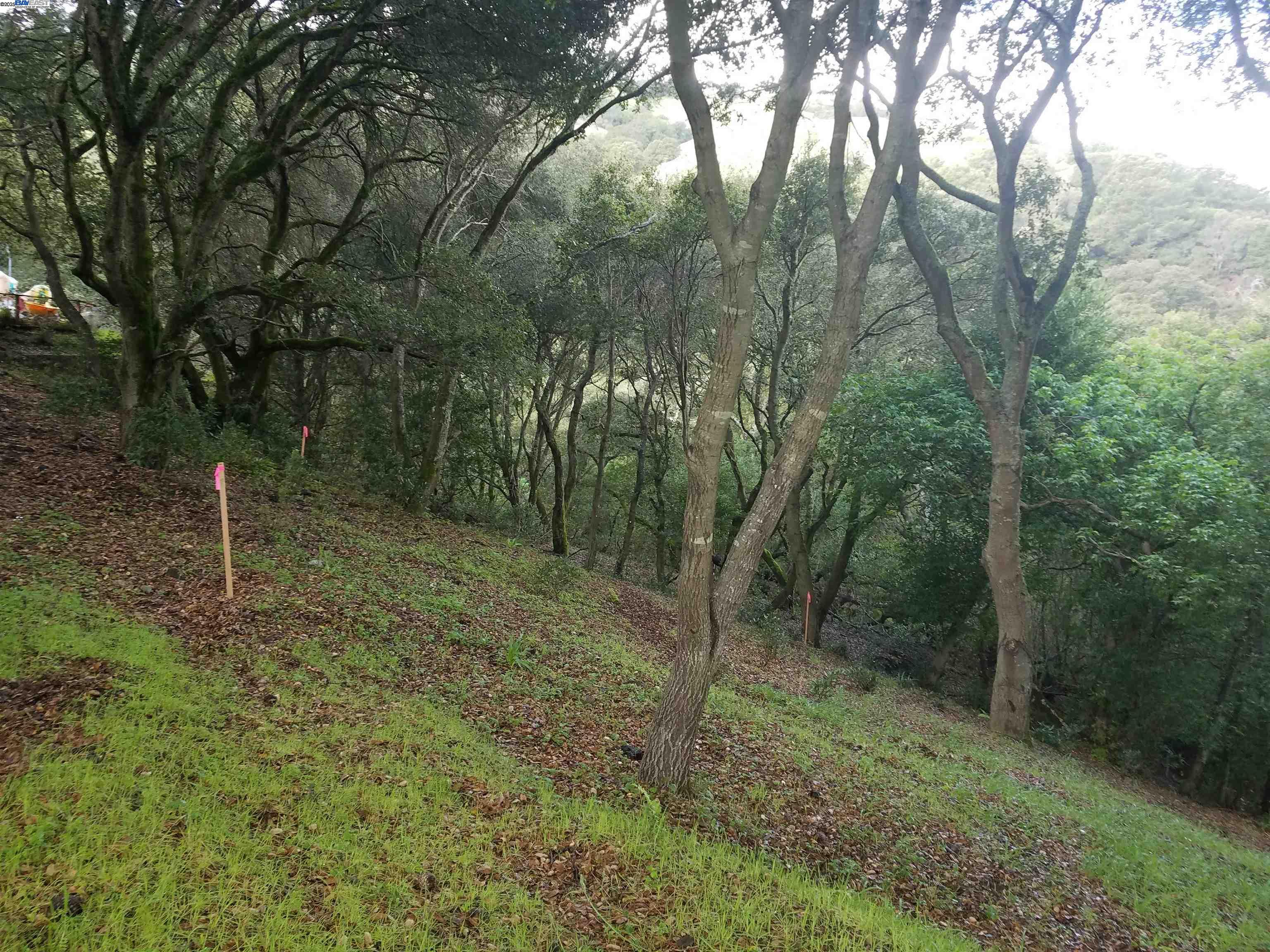12 Vista Del Orinda