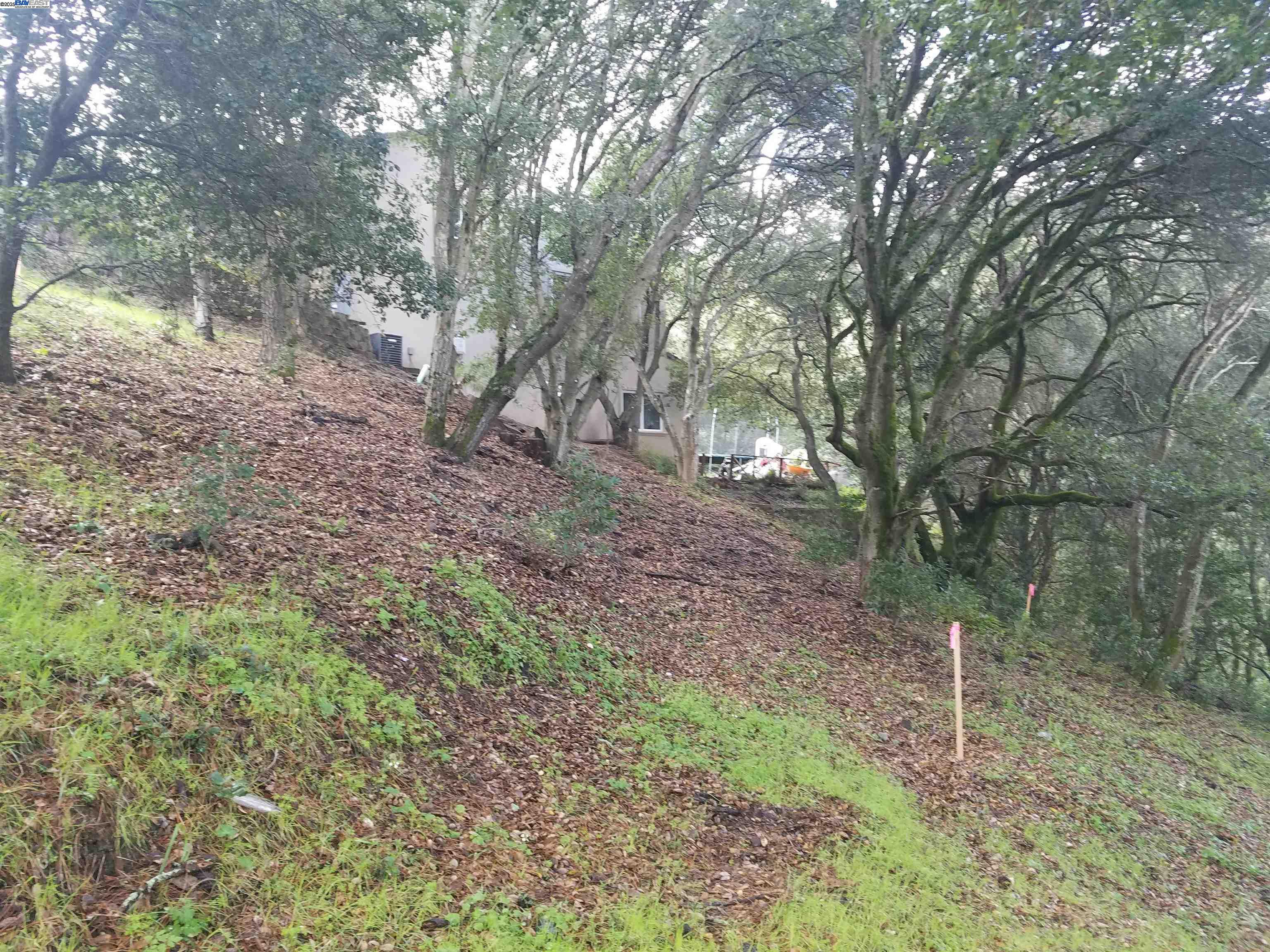 12 Vista Del Orinda