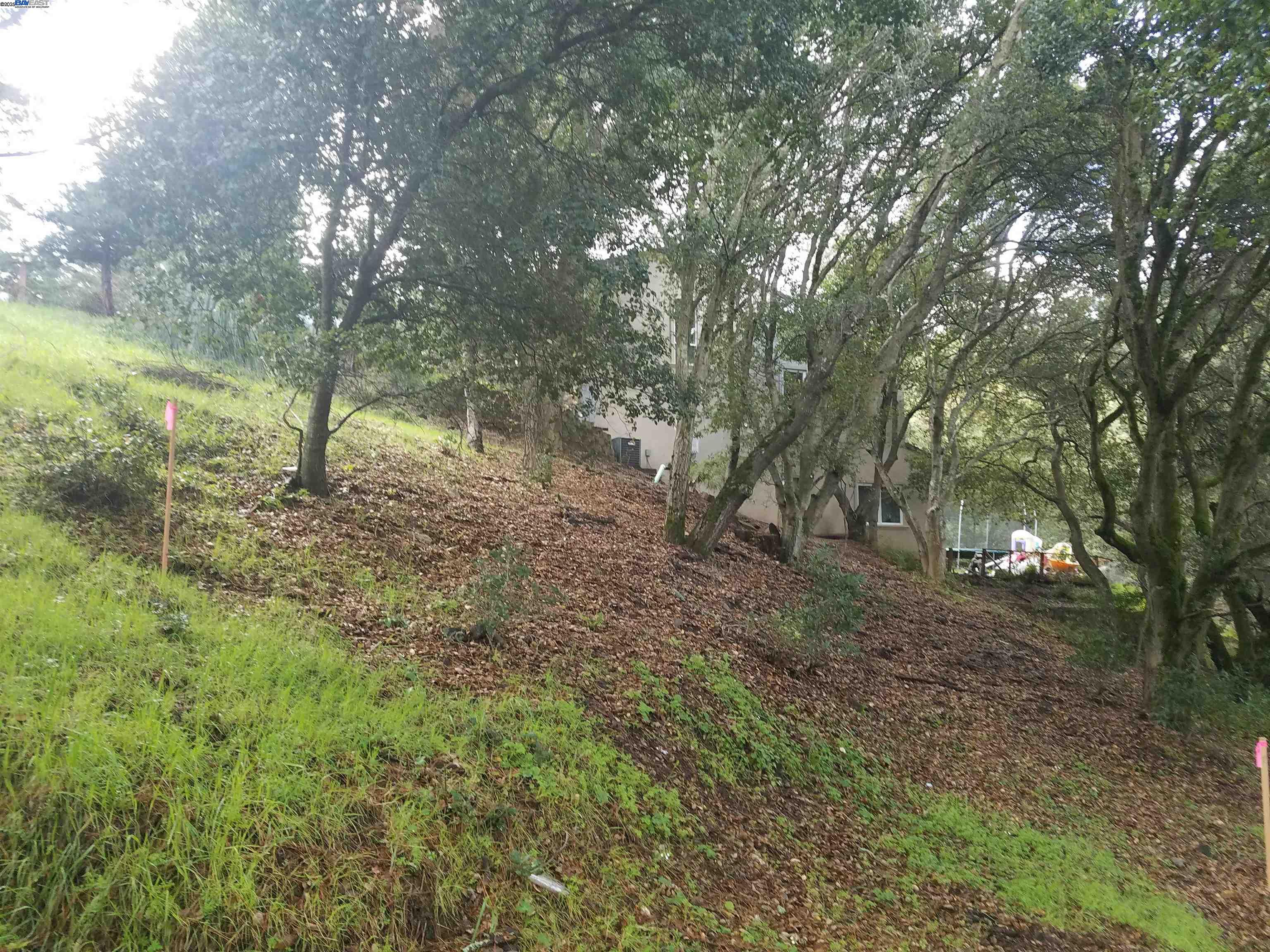 12 Vista Del Orinda