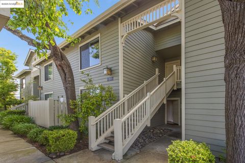 MLS: 41097365