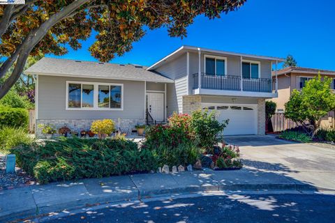 40442 Seville Ct, Fremont, CA 94539 - #: 41064756