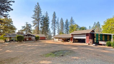 1984 Garner Rd, Rail Road Flat, CA 95248 - #: 20241692