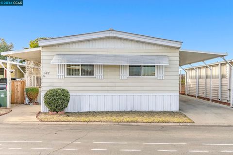 372 Avenida Flores, Pacheco, CA 94553 - #: 41049036