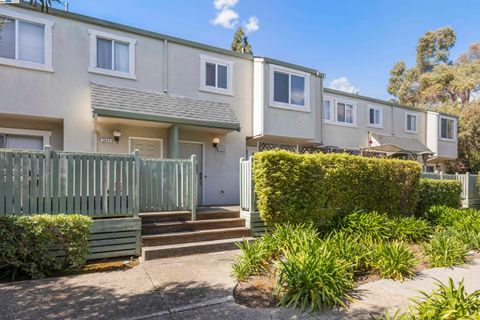 3838 Meeks Ter, Fremont, CA 94538 - MLS#: 41091937