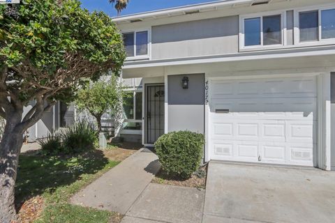 40172 Santa Teresa Cmn, Fremont, CA 94539 - #: 41087522