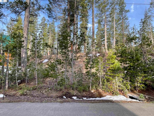 7217 PALISADE RD, SODA SPRINGS, CA 95728 - Image af3fedf0d30585f7abdd2995d782bc19/3419639165
