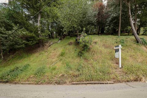 MLS: 41096854