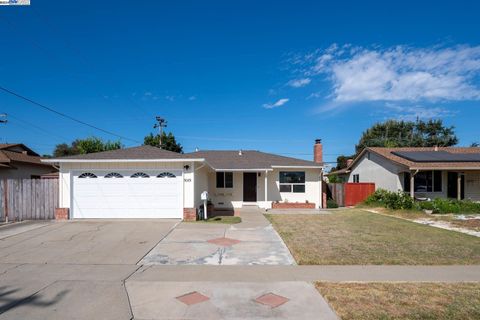 5089 Curtis Street, Fremont, CA 94538 - #: 41075692