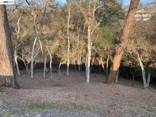103 THOMSON LN, COPPEROPOLIS, CA 95228 - Image b9113522e4006f3c790e1ae805c00a63/2364133635