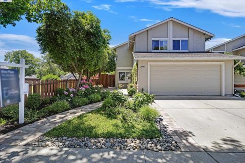 MLS: 41098744