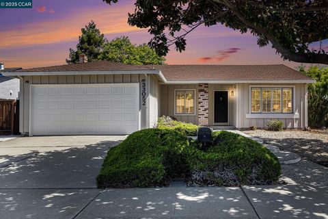 33052 Arizona St, Union City, CA 94587 - #: 41097804