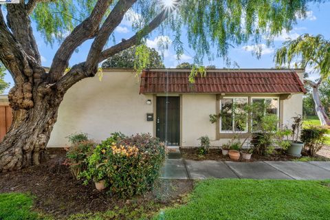 4304 Lenoso Cmn, Fremont, CA 94536 - #: 41088610
