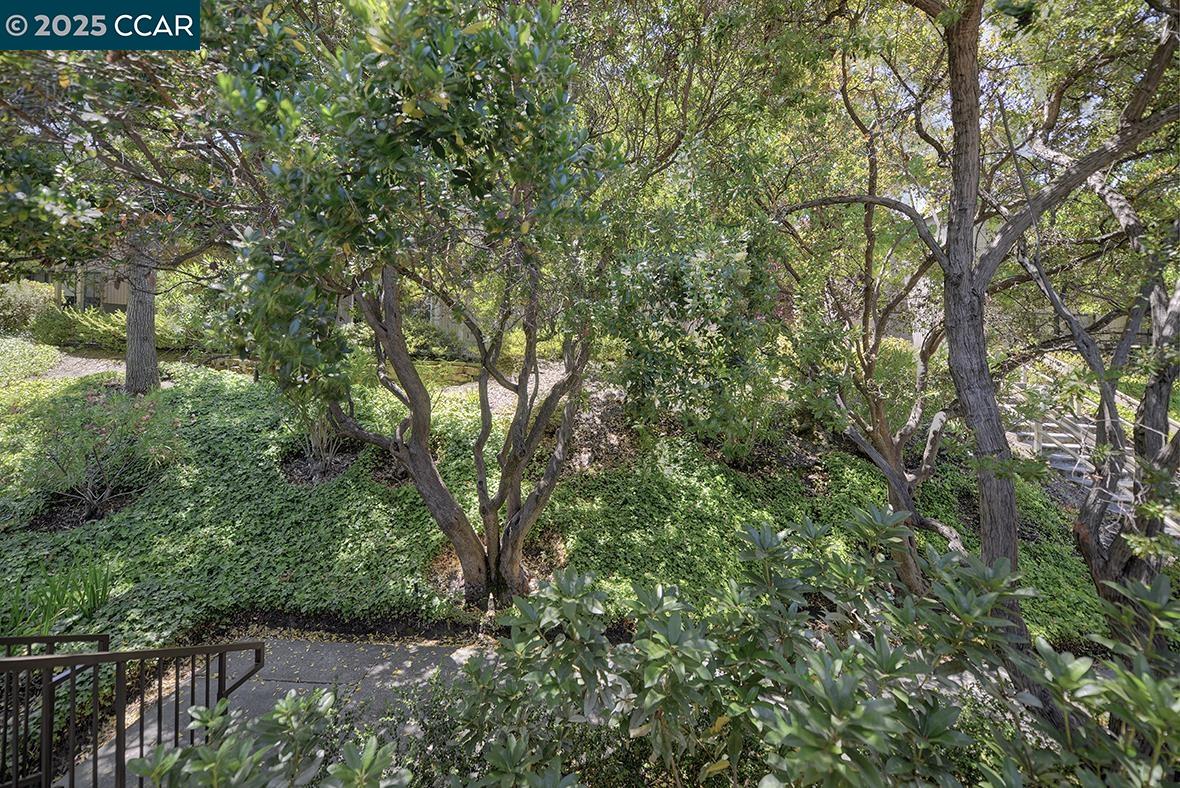 1333 Singingwood Ct 1