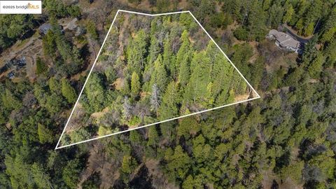 MLS: 41091876
