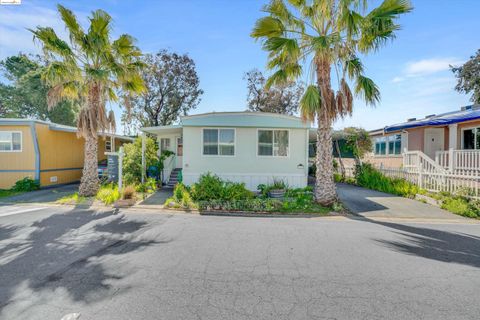 251 Kaimu Street, Pacheco, CA 94553 - #: 41053279