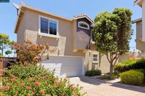 1071 Newcastle Ct, Richmond, CA 94806 - #: 41102448