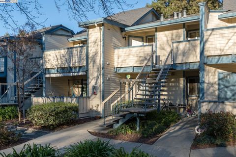 252 Sequim Cmn, Fremont, CA 94539 - MLS#: 41081667
