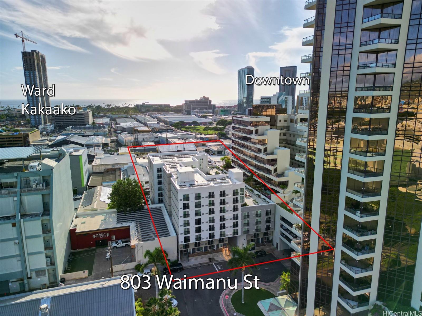 The Block 803 Waimanu Condominium